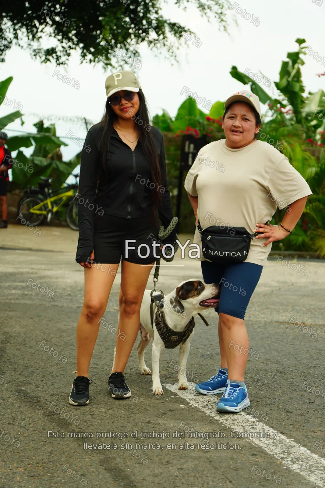 DSC04336